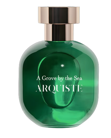 Arquiste A Grove By The Sea