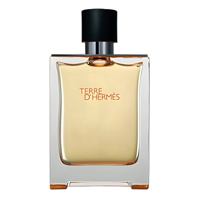 Terre d'Hermès - Para Quem Prefere o Minimalismo